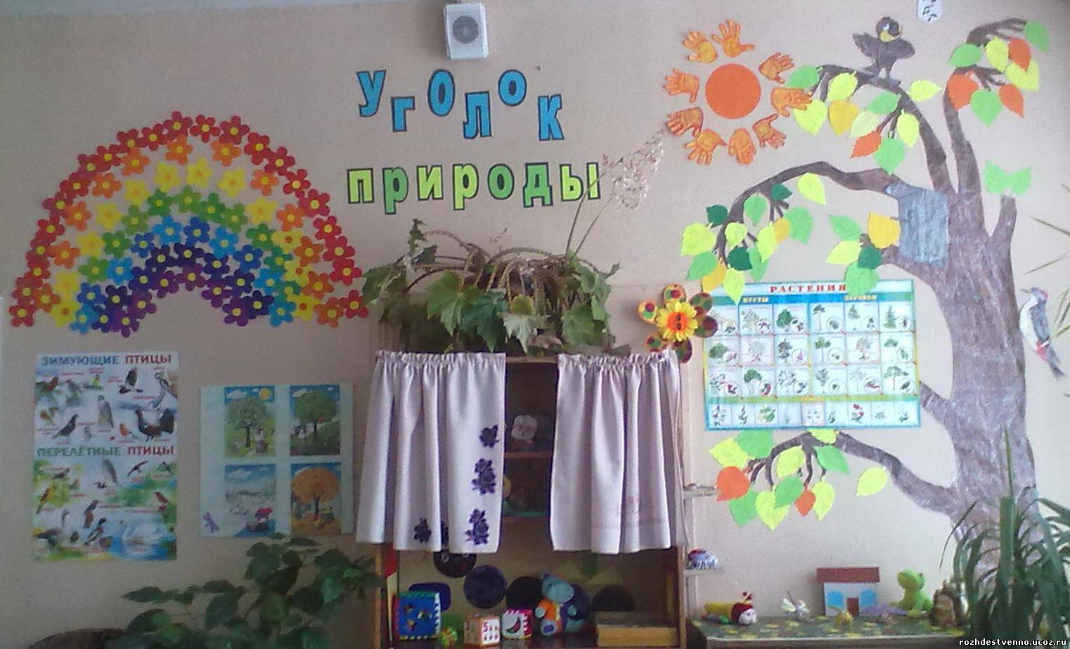 Уголок природы своими руками картинки 47